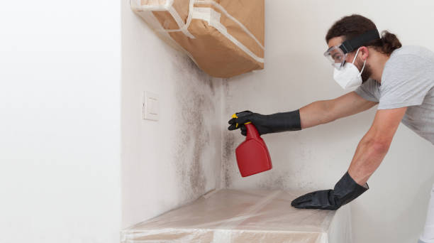 Professional Mold Removal technician working in Guston, KY